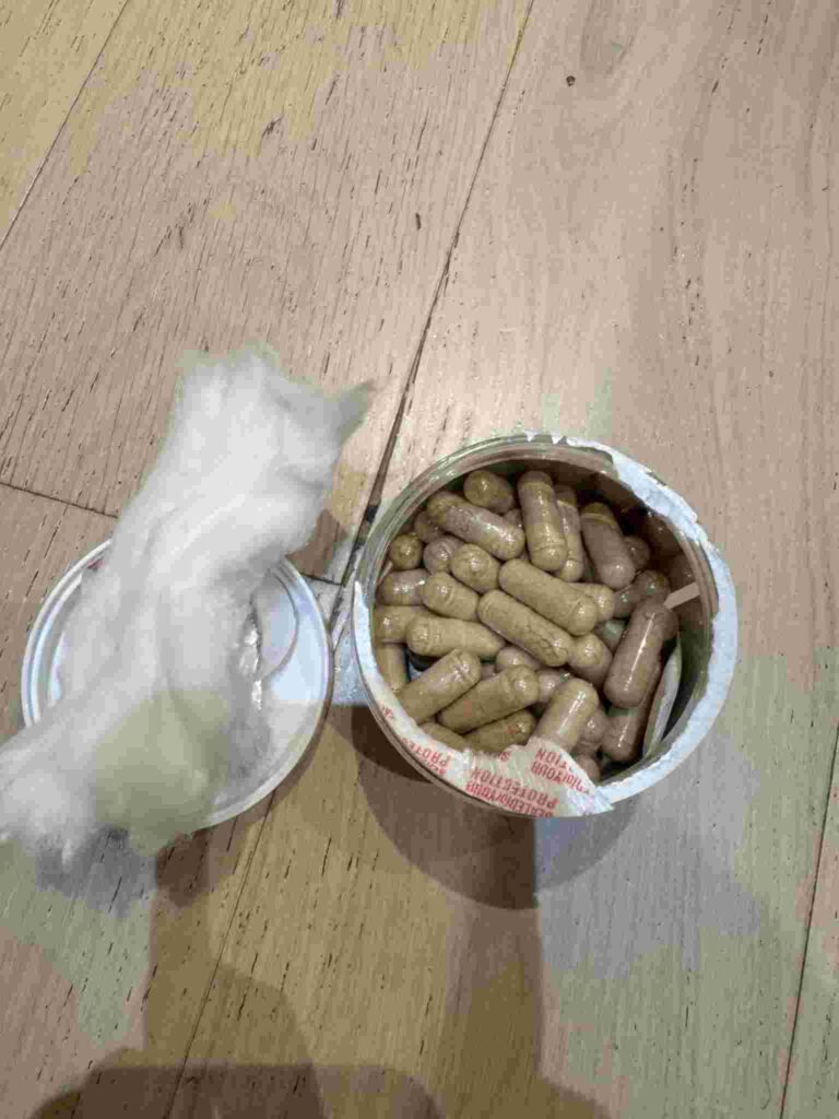 her bodhi review