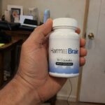 Harmo Brain Review