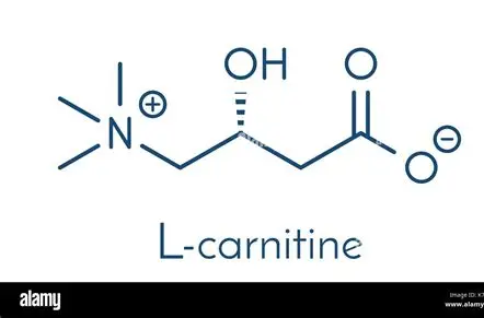 L Carnitine
