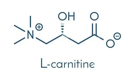 L Carnitine