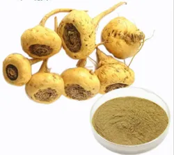 maca extract